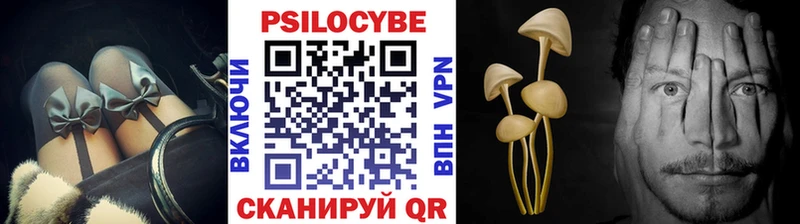 Псилоцибиновые грибы Cubensis Николаевск-на-Амуре